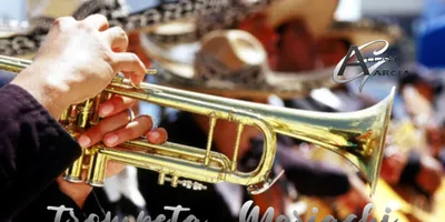 Mariachi Trumpet for Kontakt — Sound Library by Allan García (Free)